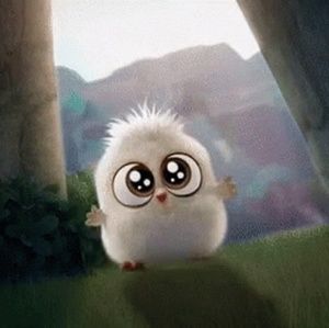 Meet your Posher, Shaelyn